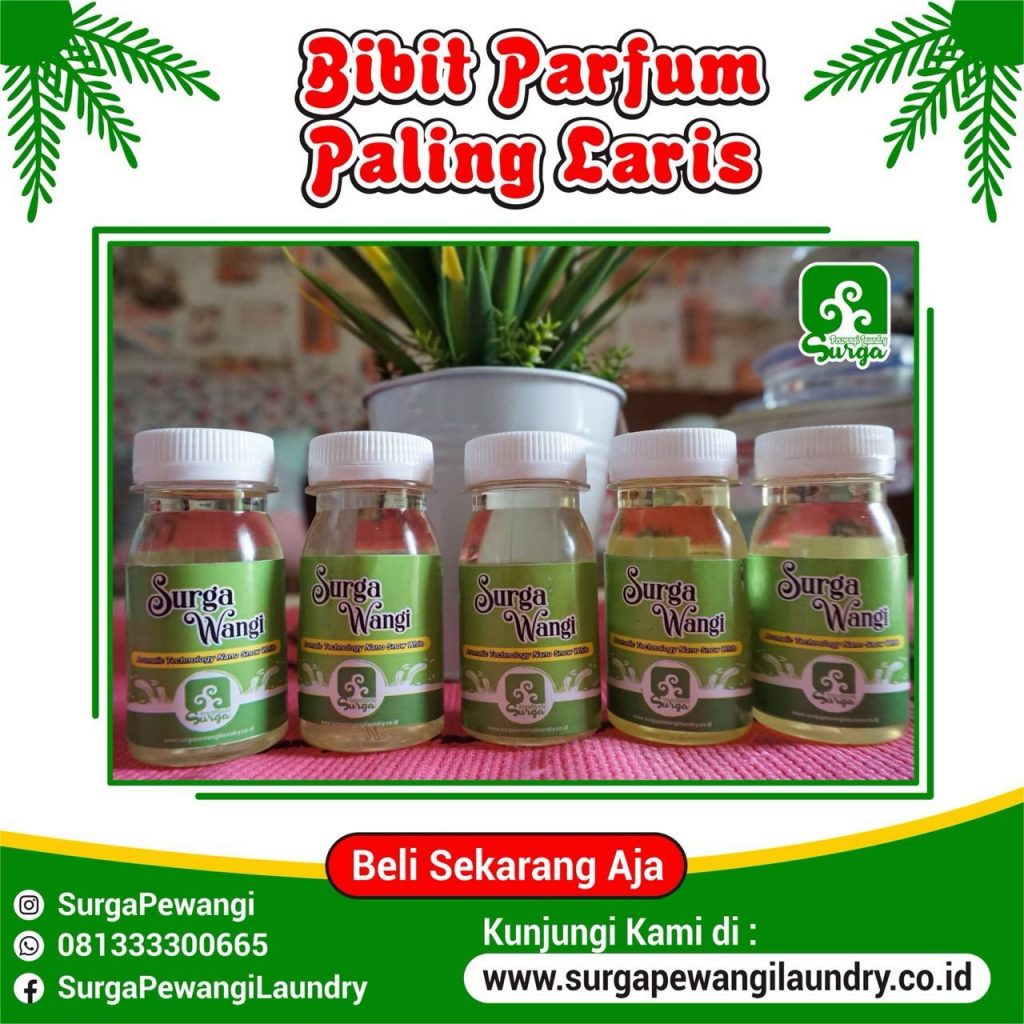 Bibit Parfum Laundry Terlaris