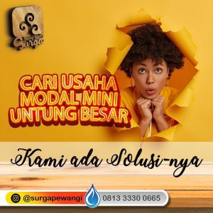 modal usaha parfum laundry